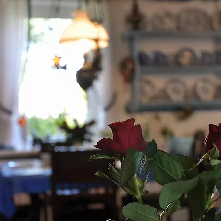 Hotel Inselhotel Arfsten Wyk auf Föhr
